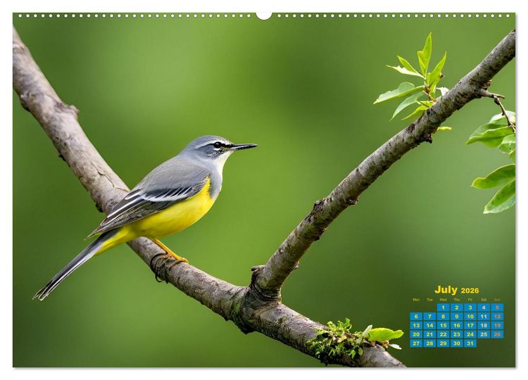 Produktbild: Singers from our regions - Our intimate nature (Wall Calendar 2026 DIN A2 landscape), CALVENDO 12 Month Wall Calendar