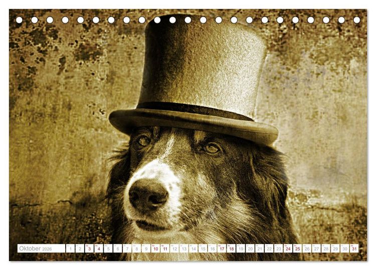 Produktbild: Hund tr&auml;gt Hut (Tischkalender 2026 DIN A5 quer), CALVENDO Monatskalender