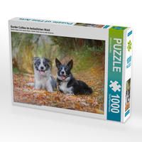 Produktbild: CALVENDO Puzzle Border Collies im herbstlichen Wald 1000 Teile Lege-Gr&ouml;&szlig;e 64 x 48 cm Foto-Puzzle Bild von Barbara Homolka