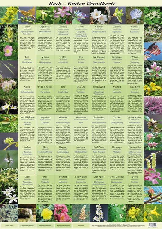 Produktbild: Bach Bl&uuml;ten Wandkarte