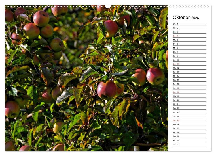Produktbild: Landschaften des Kraichgaus (hochwertiger Premium Wandkalender 2026 DIN A2 quer), Kunstdruck in Hochglanz