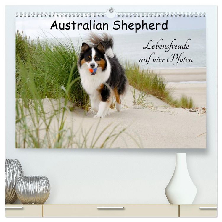 Produktbild: Australian Shepherd - Lebensfreude auf vier Pfoten (hochwertiger Premium Wandkalender 2026 DIN A2 quer), Kunstdruck in Hochglanz