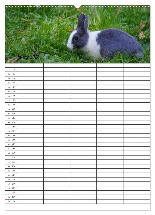 Produktbild: Meerschweinchen und Kaninchen Familienplaner (hochwertiger Premium Wandkalender 2026 DIN A2 hoch), Kunstdruck in Hochglanz