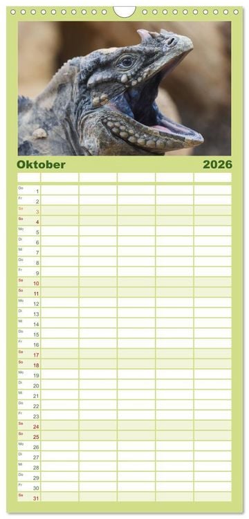 Produktbild: Familienplaner 2026 - Echsen - Schuppige &Uuml;berlebensk&uuml;nstler mit 5 Spalten (Wandkalender, 21 x 45 cm) CALVENDO