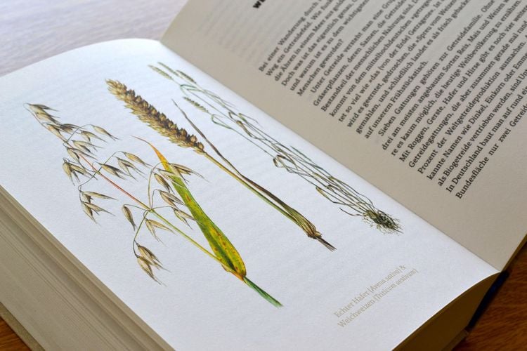 Produktbild: Mikroorgasmen &uuml;berall