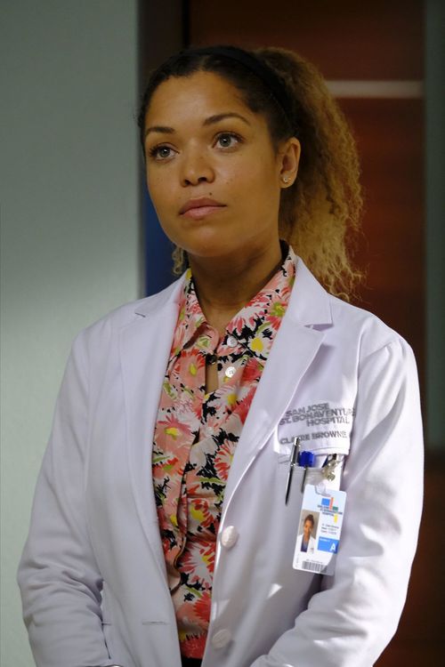 The Good Doctor - Die komplette vierte Season [5 DVDs]