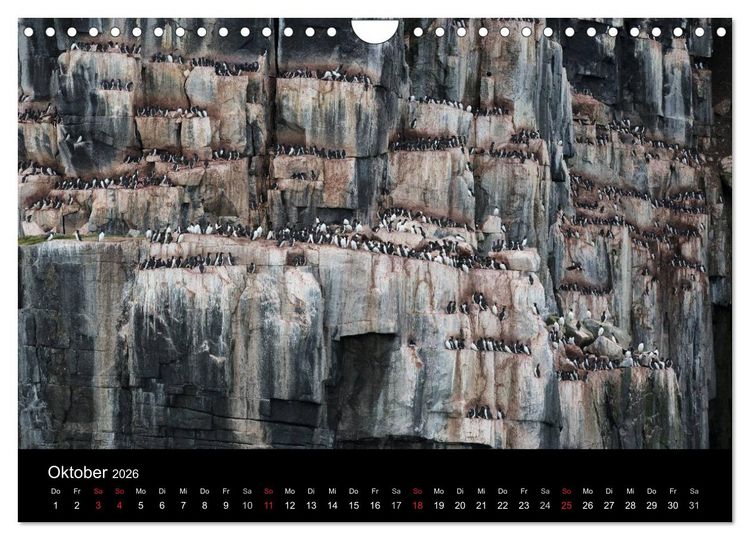 Produktbild: TRAUMZIEL ARKTIS, Impressionen vom Rand der Welt (Wandkalender 2026 DIN A4 quer), CALVENDO Monatskalender