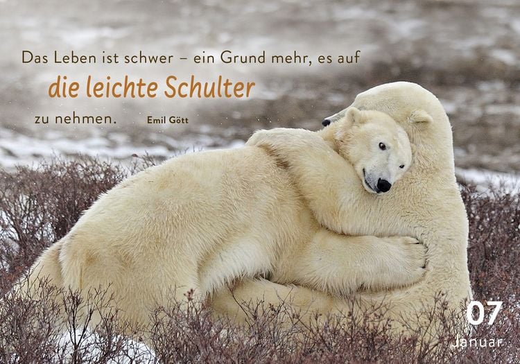 Produktbild: 365 mal tierisch gut drauf!