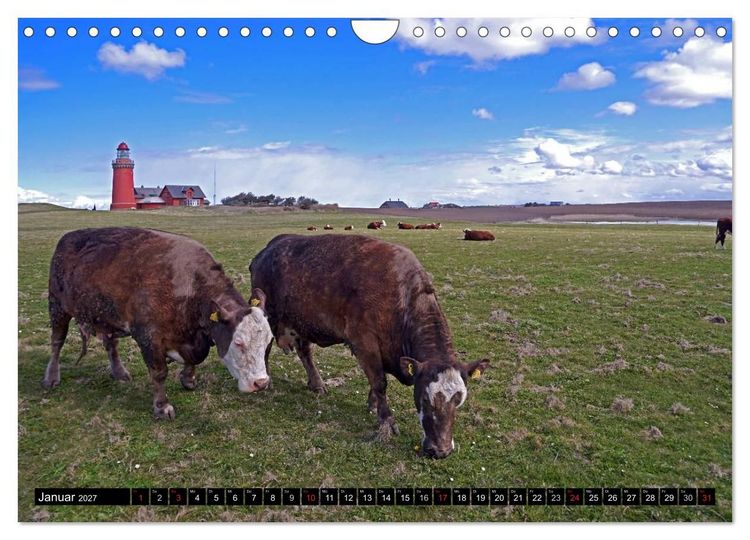Produktbild: J&uuml;tlands K&uuml;ste 2027 (Wandkalender 2027 DIN A4 quer), CALVENDO Monatskalender