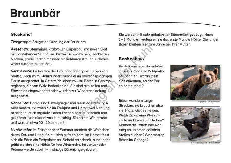 Produktbild: Waldtiere