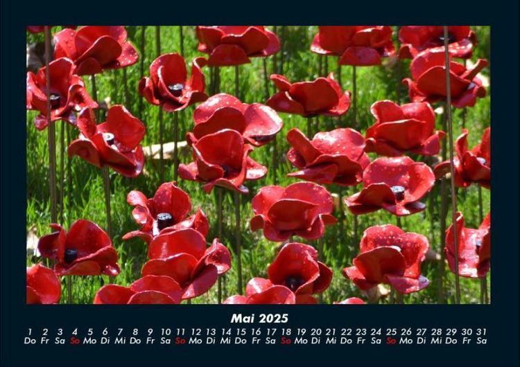 Produktbild: Blumenkalender 2025 Fotokalender DIN A4