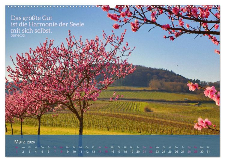 Produktbild: FASZINATION MANDELBL&Uuml;TE (hochwertiger Premium Wandkalender 2026 DIN A2 quer), Kunstdruck in Hochglanz