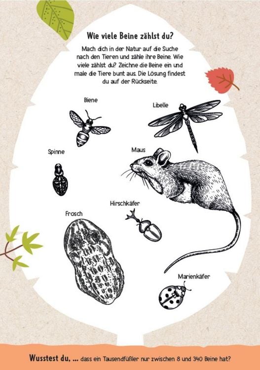 Produktbild: Natur-Challenges