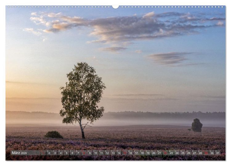 Produktbild: Die L&uuml;neburger Heide - In voller Bl&uuml;te (hochwertiger Premium Wandkalender 2026 DIN A2 quer), Kunstdruck in Hochglanz