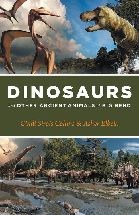 Produktbild: Dinosaurs and Other Ancient Animals of Big Bend