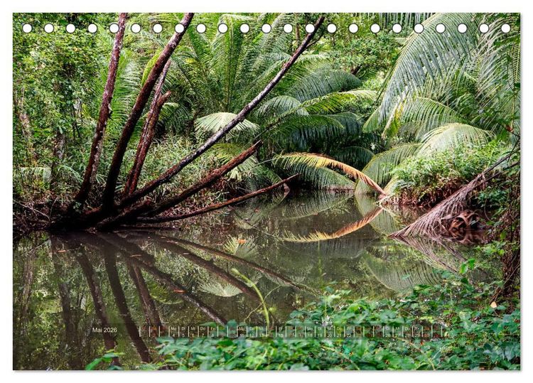 Produktbild: Seychellen - Inselparadiese Mah&eacute; La Digue Praslin (Tischkalender 2026 DIN A5 quer), CALVENDO Monatskalender