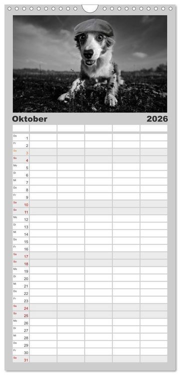 Produktbild: Familienplaner 2026 - H&uuml;tehunde mit 5 Spalten (Wandkalender, 21 x 45 cm) CALVENDO