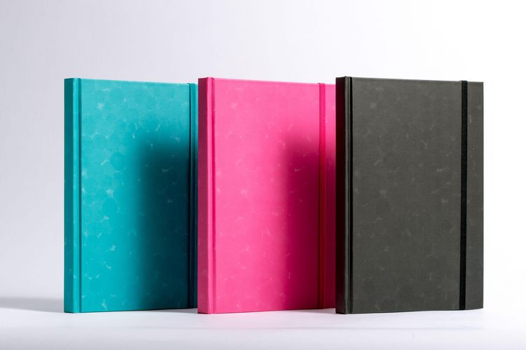 Produktbild: Anaconda Notizbuch/Notebook/Blank Book, punktiert, textiles Gummiband, pink, Hardcover (A5), 120g/m&sup2; Papier