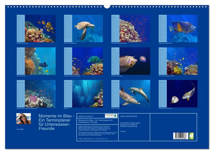 Produktbild: Momente im Blau - Ein Terminplaner f&uuml;r Unterwasser-Freunde (Wandkalender 2026 DIN A2 quer), CALVENDO Monatskalender