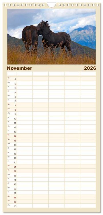 Produktbild: Familienplaner 2026 - Pferde und Ponys im Paradies mit 5 Spalten (Wandkalender, 21 x 45 cm) CALVENDO