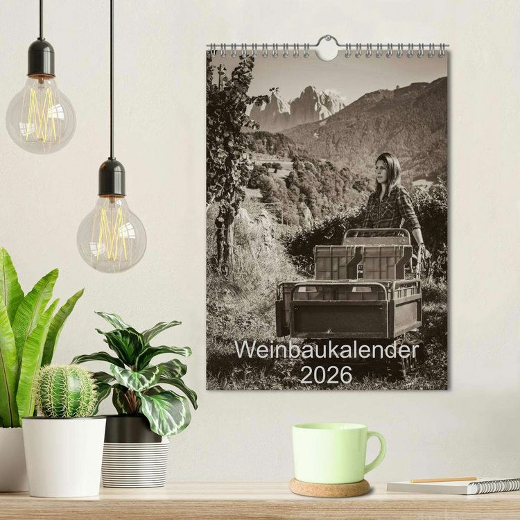 Produktbild: Weinbaukalender 2026 (Wandkalender 2026 DIN A4 hoch), CALVENDO Monatskalender