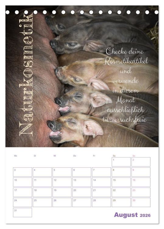 Produktbild: Tierische Challenges: F&uuml;r mehr Bewusstsein und mehr Tierschutz (Tischkalender 2026 DIN A5 hoch), CALVENDO Monatskalender
