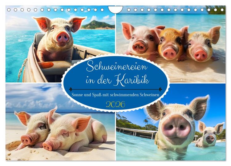 Produktbild: Schweinereien in der Karibik. Sonne und Spa&szlig; mit schwimmenden Schweinen (Wandkalender 2026 DIN A4 quer), CALVENDO Monatskalender