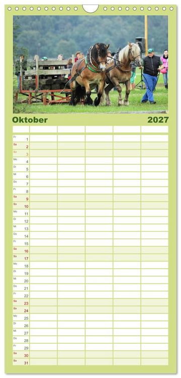 Produktbild: Familienplaner 2027 - Schwere Pferde mit 5 Spalten (Wandkalender, 21 x 45 cm) CALVENDO