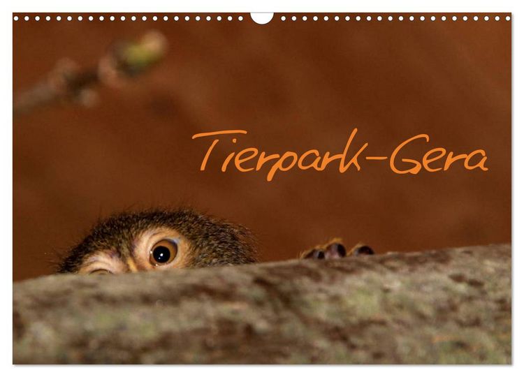 Produktbild: Tierpark-Gera (Wandkalender 2026 DIN A3 quer), CALVENDO Monatskalender
