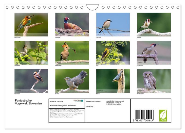Produktbild: Fantastische Vogelwelt Slowenien (Wandkalender 2026 DIN A4 quer), CALVENDO Monatskalender