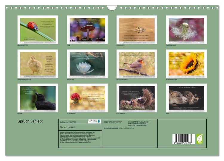 Produktbild: Spruch verliebt (Wandkalender 2026 DIN A3 quer), CALVENDO Monatskalender