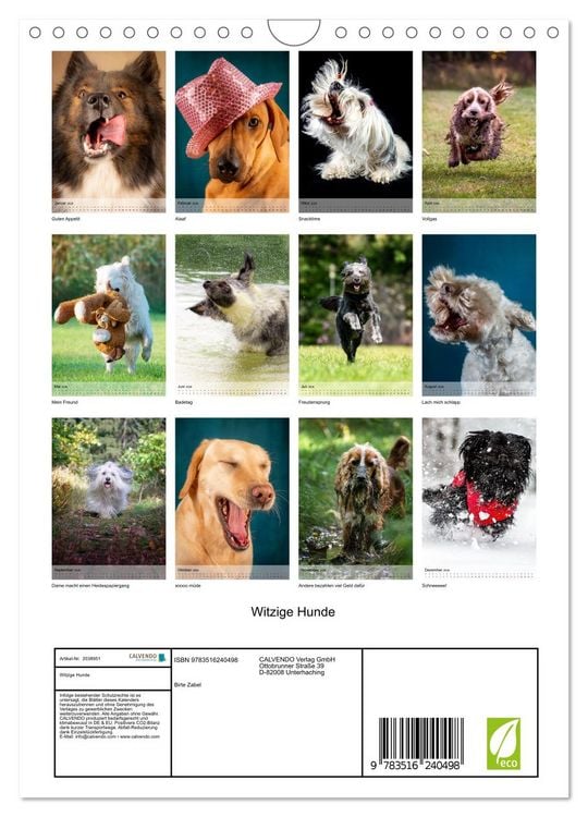 Produktbild: Witzige Hunde (Wandkalender 2026 DIN A4 hoch), CALVENDO Monatskalender