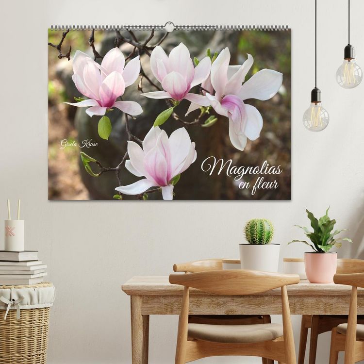 Produktbild: Magnolias en fleur (Calendrier mural 2026 DIN A2 vertical), CALVENDO calendrier mensuel