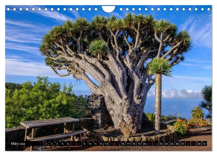 Produktbild: Natur pur erleben auf La Palma (Wandkalender 2026 DIN A4 quer), CALVENDO Monatskalender