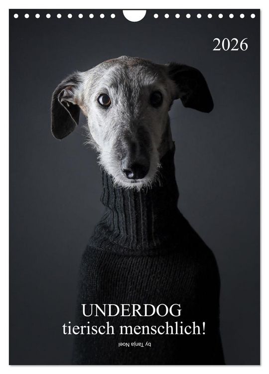Produktbild: UNDERDOG - Windhundportraits (Wandkalender 2026 DIN A4 hoch), CALVENDO Monatskalender