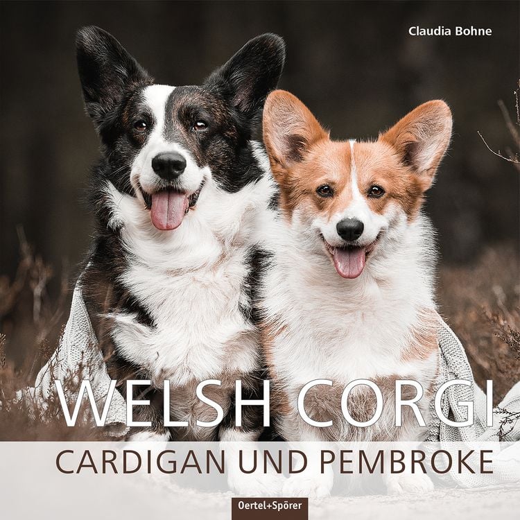 Produktbild: Welsh Corgi