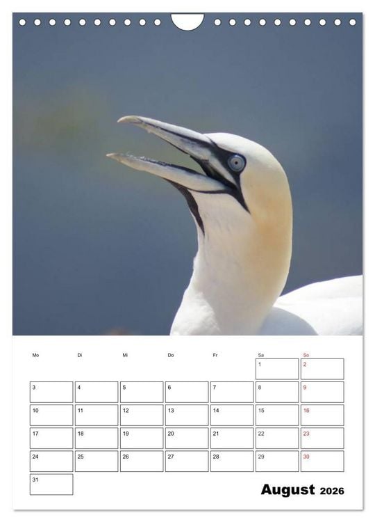 Produktbild: Einzigartige Insel Helgoland (Wandkalender 2026 DIN A4 hoch), CALVENDO Monatskalender