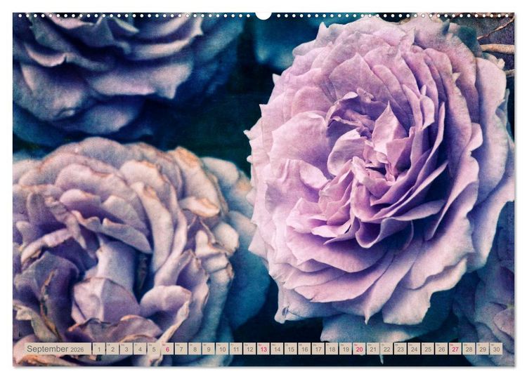 Produktbild: Rosenduft Shabby Chic Style (Wandkalender 2026 DIN A2 quer), CALVENDO Monatskalender