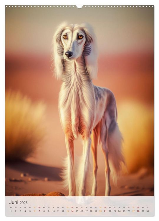 Produktbild: Persischer Windhund (Wandkalender 2026 DIN A2 hoch), CALVENDO Monatskalender