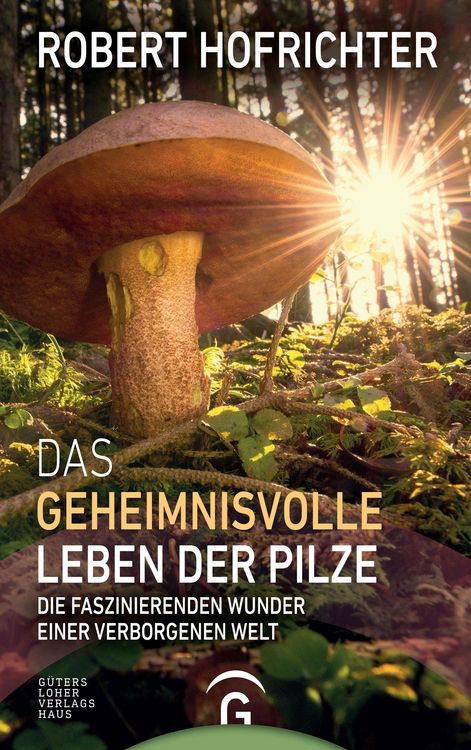 Produktbild: Das geheimnisvolle Leben der Pilze