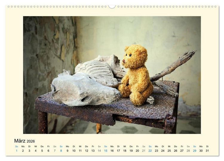 Produktbild: Herr B&auml;r urban explorer (Wandkalender 2026 DIN A2 quer), CALVENDO Monatskalender