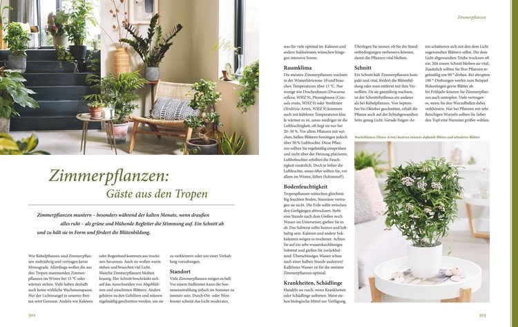 Produktbild: Das gro&szlig;e GU Praxishandbuch Pflanzenschnitt