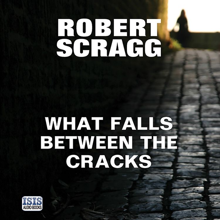 Produktbild: What Falls Between the Cracks