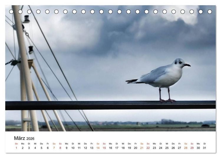 Produktbild: Wieder an der Nordsee (Tischkalender 2026 DIN A5 quer), CALVENDO Monatskalender