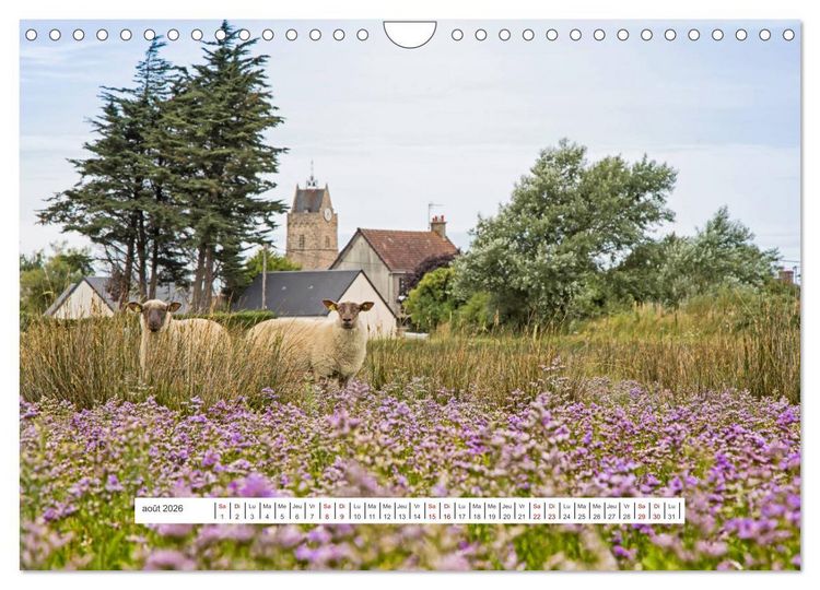 Produktbild: J'adore Le Cotentin (Calendrier mural 2026 DIN A4 vertical), CALVENDO calendrier mensuel