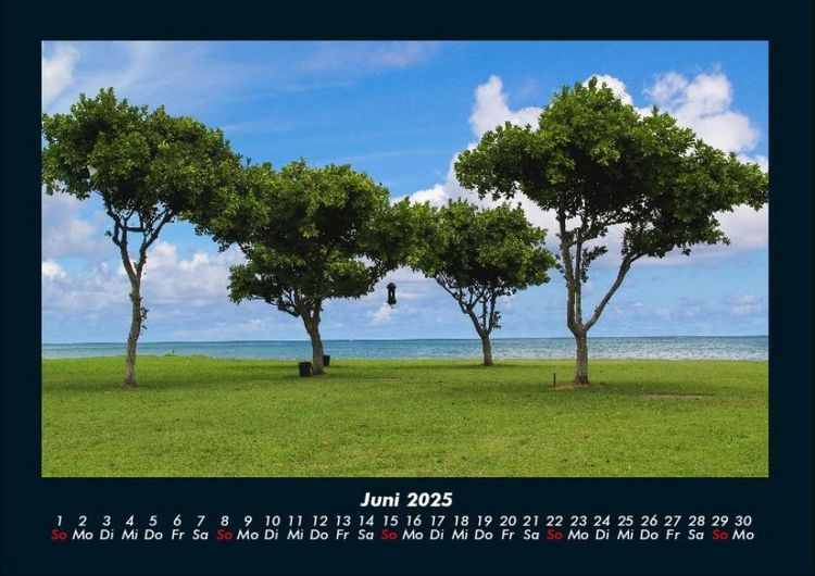Produktbild: B&auml;ume 2025 Fotokalender DIN A4