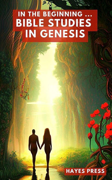 Produktbild: In the Beginning: Bible Studies in Genesis