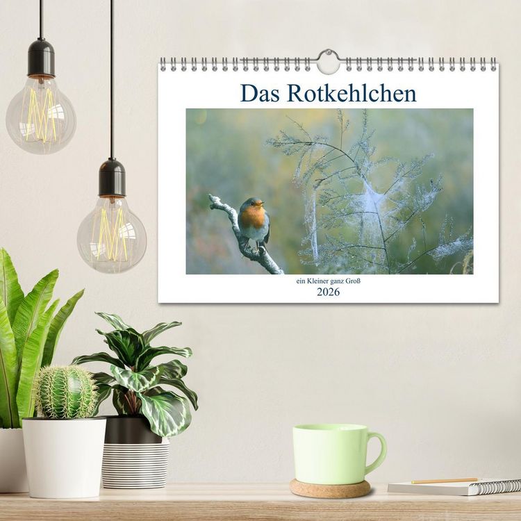 Produktbild: Das Rotkehlchen, ein Kleiner ganz Gro&szlig; (Wandkalender 2026 DIN A4 quer), CALVENDO Monatskalender