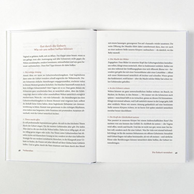 Produktbild: Das Geburtsbuch