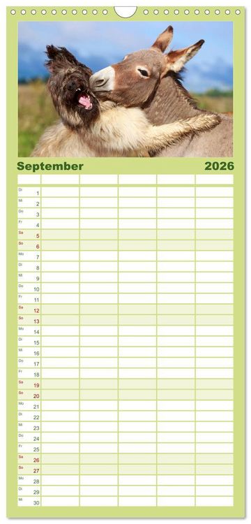 Produktbild: Familienplaner 2026 - Das Esel-Paradies - Hunde und andere Feunde mit 5 Spalten (Wandkalender, 21 x 45 cm) CALVENDO